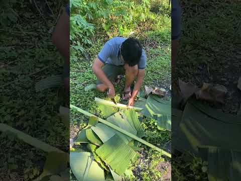 Video: Pedang batang dari mana?