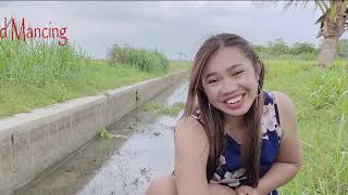 Download Lagu Mancing mania - Fishing mania - mancing bersemi kembali MP3 Download Lagu Mancing mania - Fishing mania - mancing bersemi kembali MP3