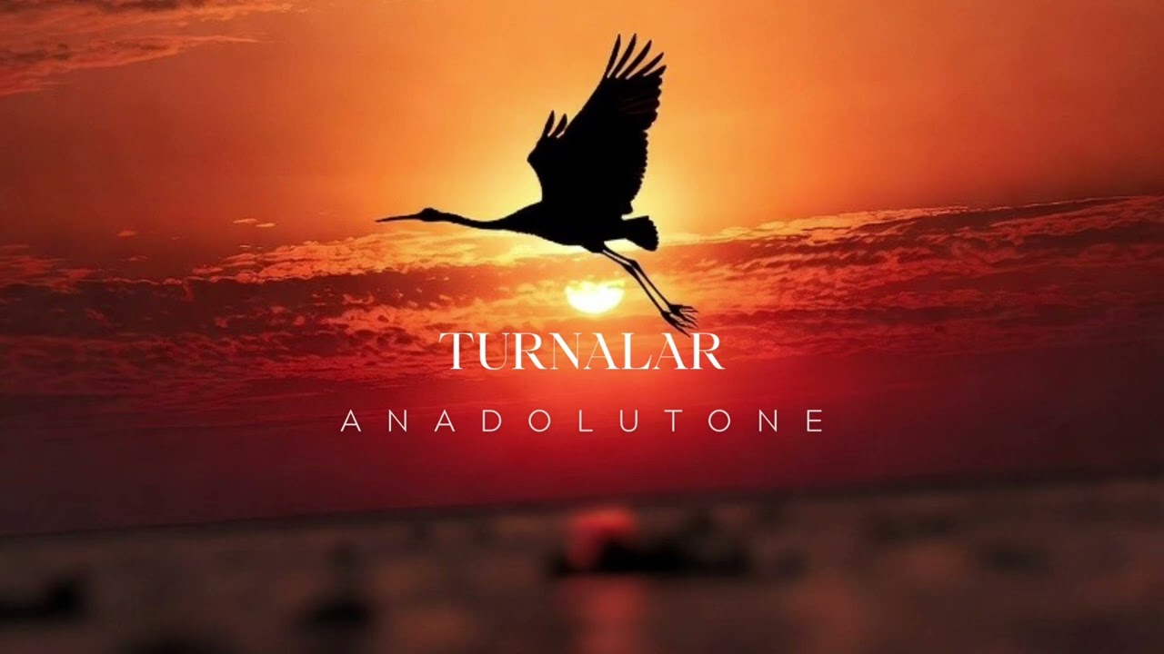 Turnalar | Yüreğe Dokunan Duygusal Anadolu Türküsü | AnadoluTone