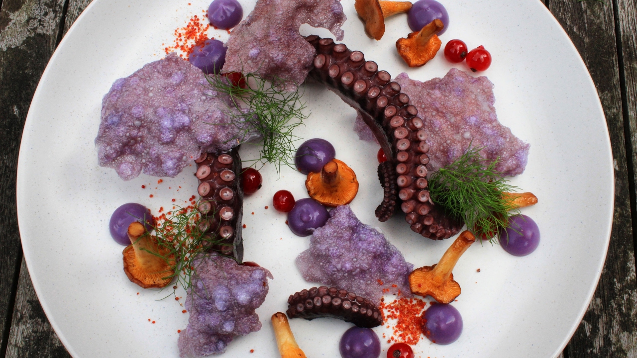 Plating Food 21 Octopus YouTube