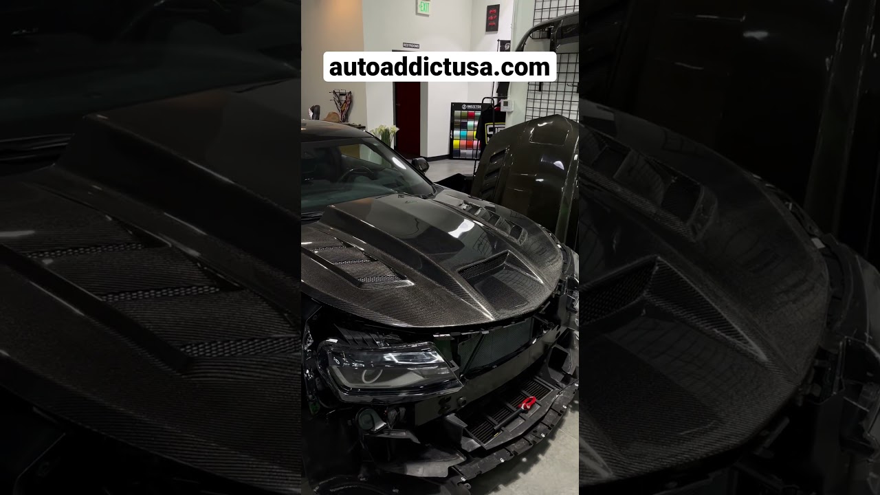 Carbon Terminator Hood 