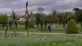 Tulips at Trentham