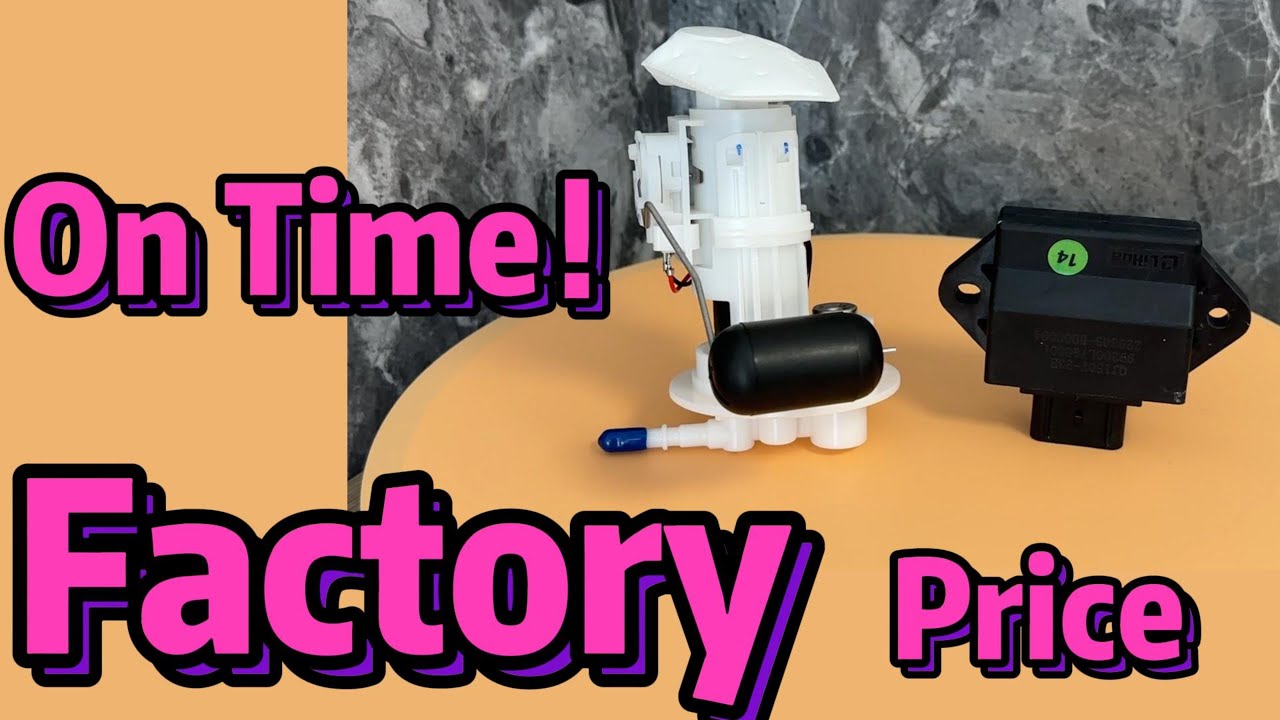 motorcycle fuel injection manufacturer electric motorcycle fuel pump