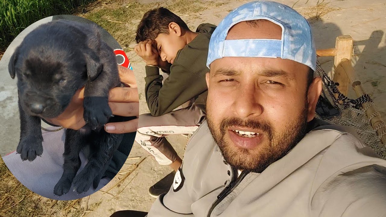 Aaj hamare ghar aaya Nanha Sa Pappi || New family member