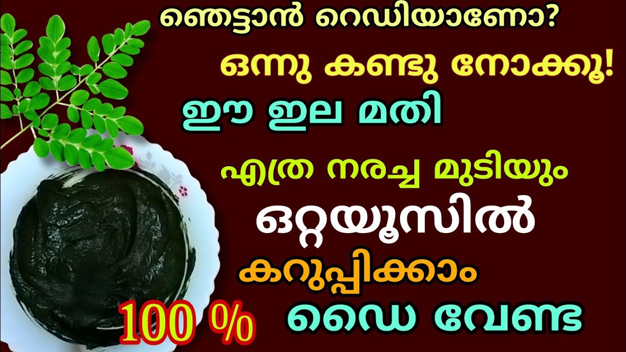 ഇനി ഒരു വെള്ള മുടി പോലും ഉണ്ടാവില്ല | ഡൈ വേണ്ട ഹെന്ന പാക്കും വേണ്ട | natural hair pack for grey hair