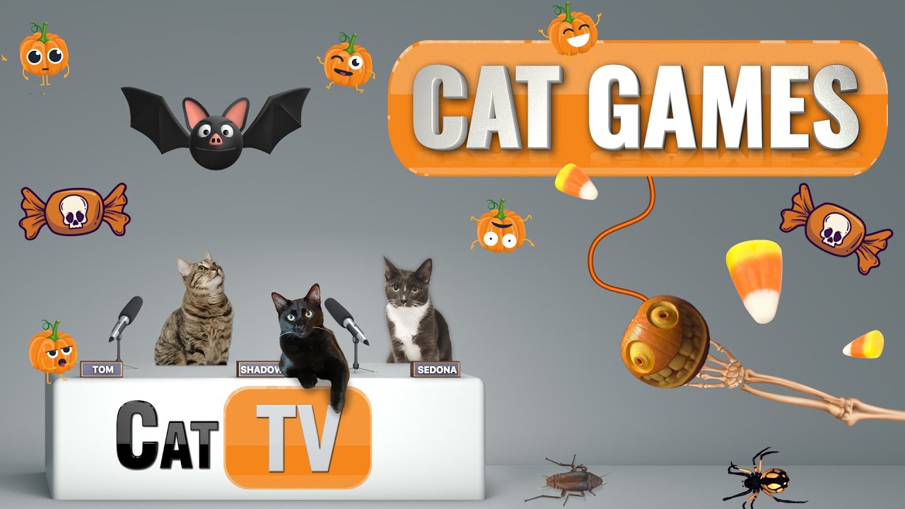 ⁣CAT Games TV | 🎃 Purr-fectly Spooky Fun for Cats & Cat Lovers! | Videos For Cats to Watch | 😼👻