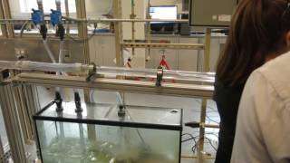 Multiphase flow 9/14/16 V11