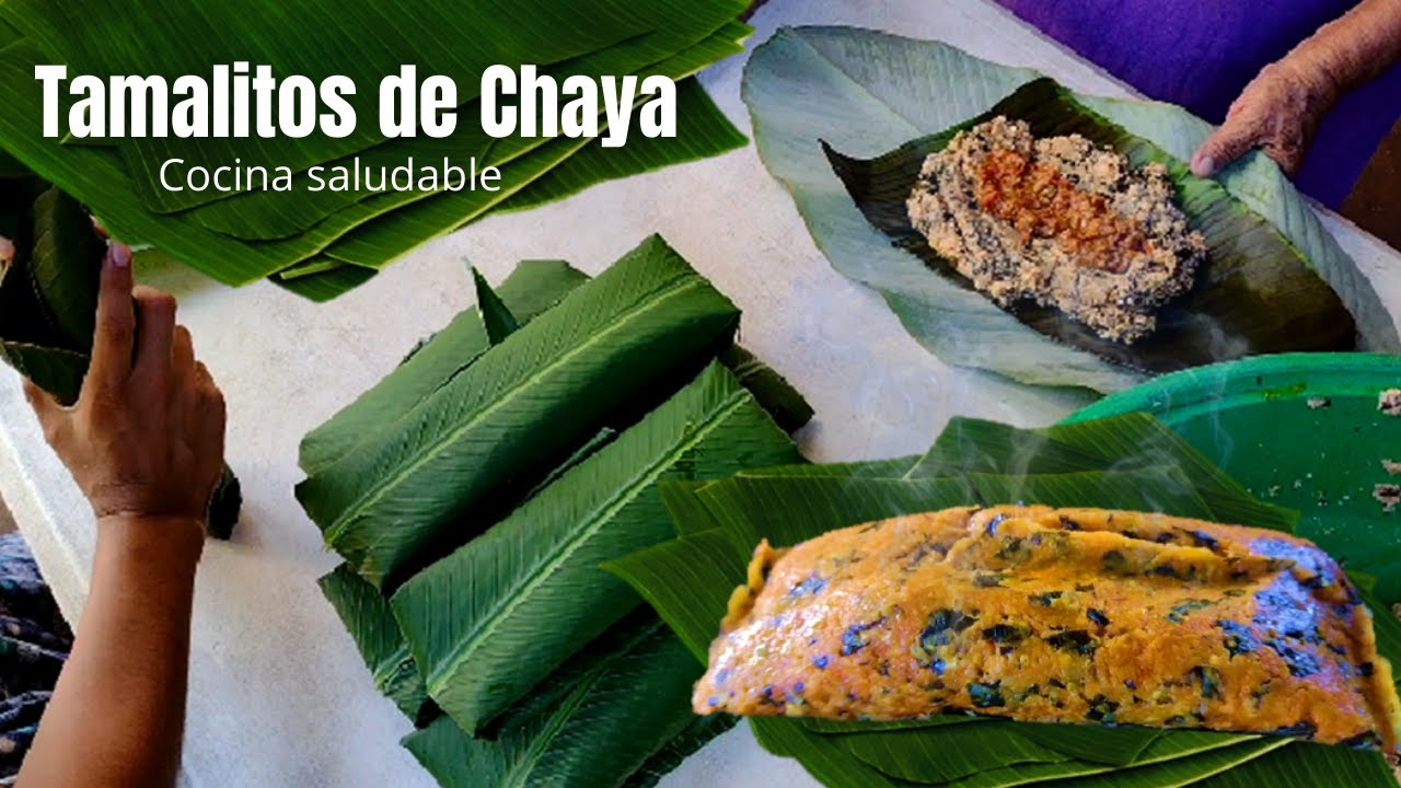 Haciendo tamales de Chaya- Cocina Saludable- Proclamando Su Venida