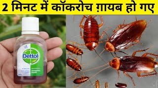 कॉकरोच से परेशान हैं तो अपनाएँ ये ज़बरदस्त उपाय फिर कभी घर में कॉकरोच नहीं होंगे|cockroaches