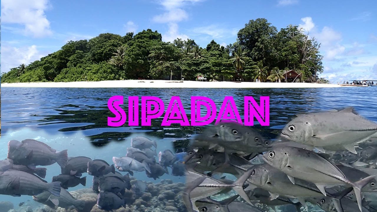 Diving Malaysia - Sipadan with Scuba Junkie