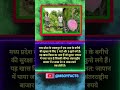 आम ।।#facts #फैक्ट्स #amazingfacts #gkquiz #gk #gkinhindis #gkindia #upsc