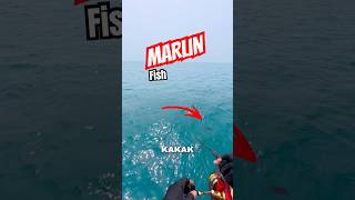 MARLIN FISH 😩 #mancing #fishing #fish #video #target #mancingmania #sea #content #adventure #viral