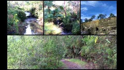 سورة الحديد الشيخ ناصر الغامدي