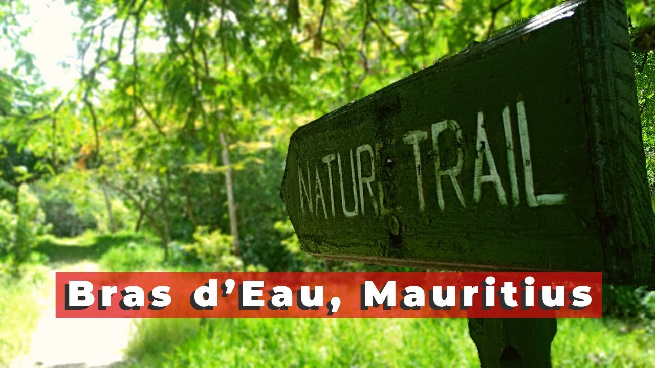 Nature Trail at Bras D'eau in Mauritius YouTube