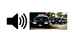 Police Siren (Distant) - Sound Effect | ProSounds screenshot 4