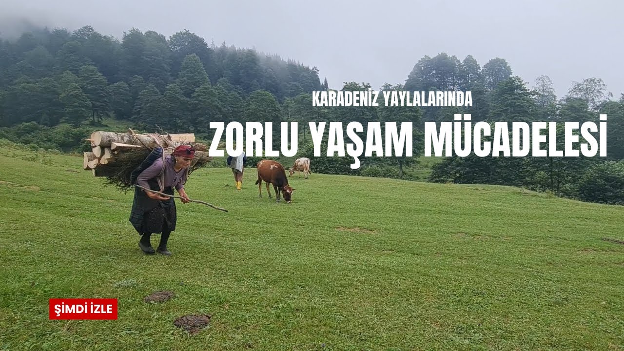 Sarp Dağların Çalışkan Kadınları | Karadeniz Dağ Köylerindeki Zorlu Hayatlar | Köyde Yaşam Belgeseli