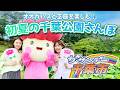 ザ・サンデー千葉市＃51「オオガハスと芝庭を楽しむ♪初夏の千葉公園さんぽ」2026/6/7