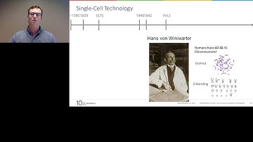 Connecting Genetic and Transcriptional Variation in Acute Myeloid Leukemia at Single-Cell Resolution