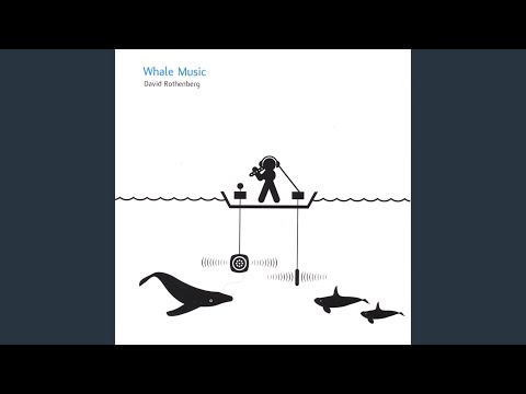 Beluga No Believe In Tears