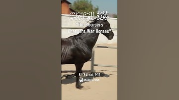 Surah Al-Adiyat (The Courser) 1-11 : English Audio Translation | سورة العاديات