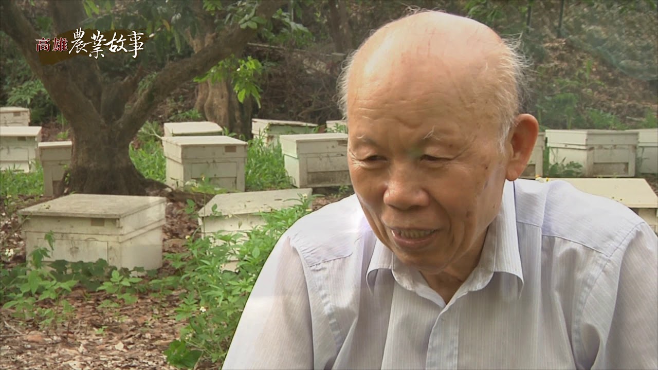 文誠蜂蜜wen Cheng Honey Youtube