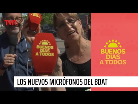 Bonitos y con