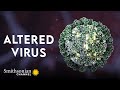 Coronaviruses and Their Mechanisms