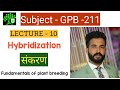 Hybridization | GPB 211 | Hybridization in Hindi | संकरण | Bsc Agriculture 2nd year plant breeding