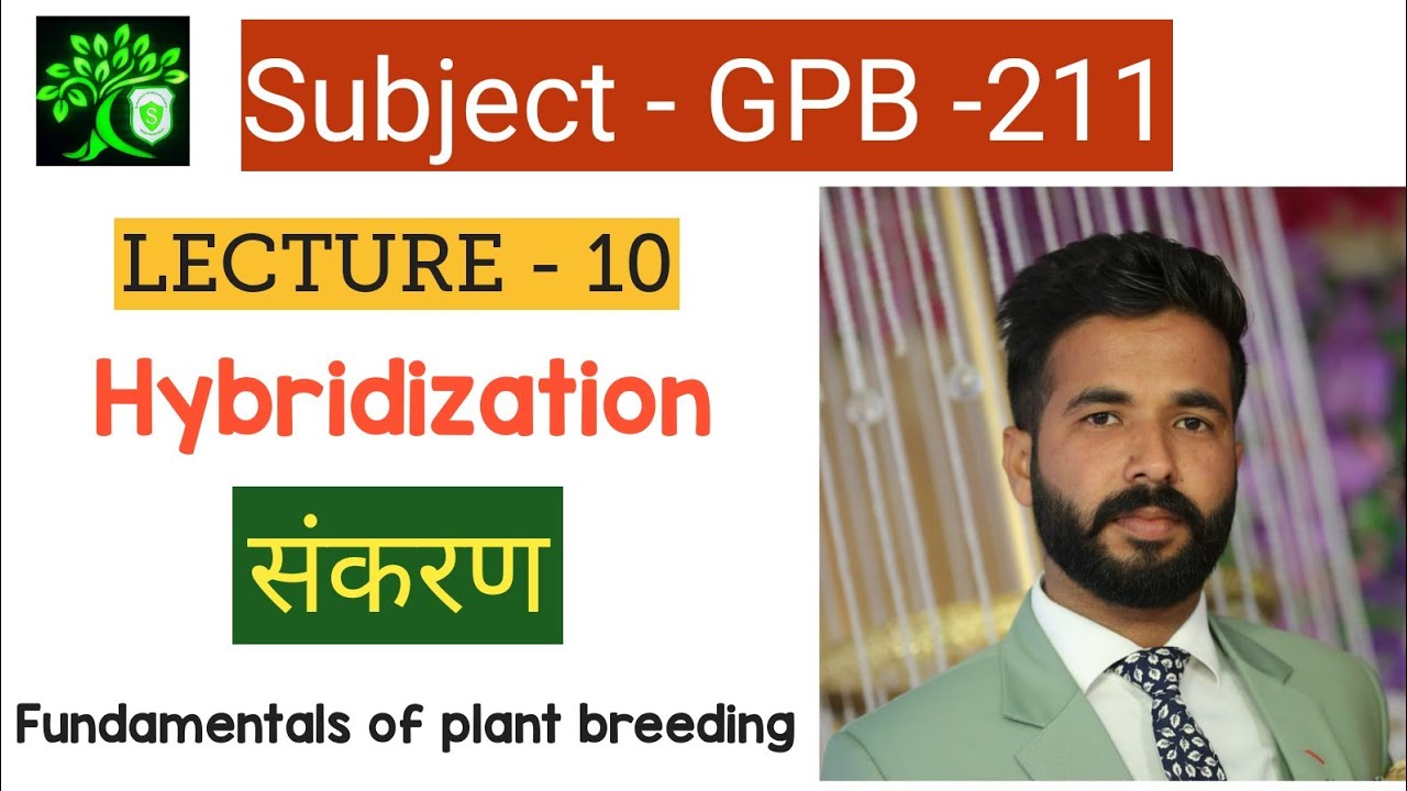Hybridization | GPB 211 | Hybridization in Hindi | संकरण | Bsc Agriculture 2nd year plant breeding