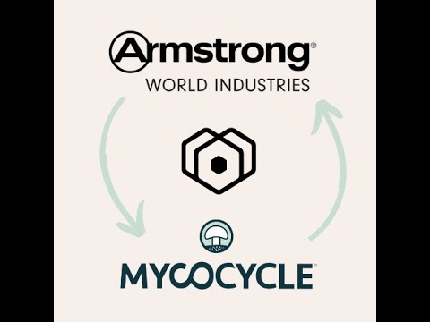Mycocycle Rheaply And Armstrong Remanufacturing Ceiling Tile Debris With Fungi