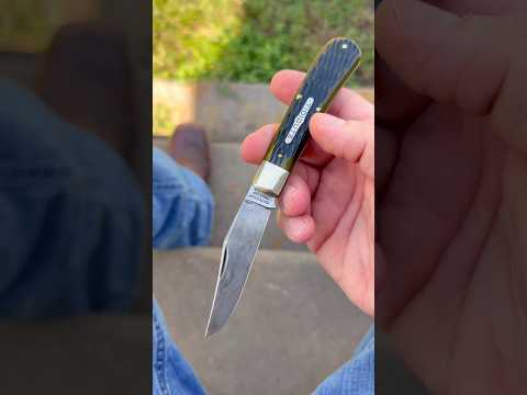 Today’s carry….     