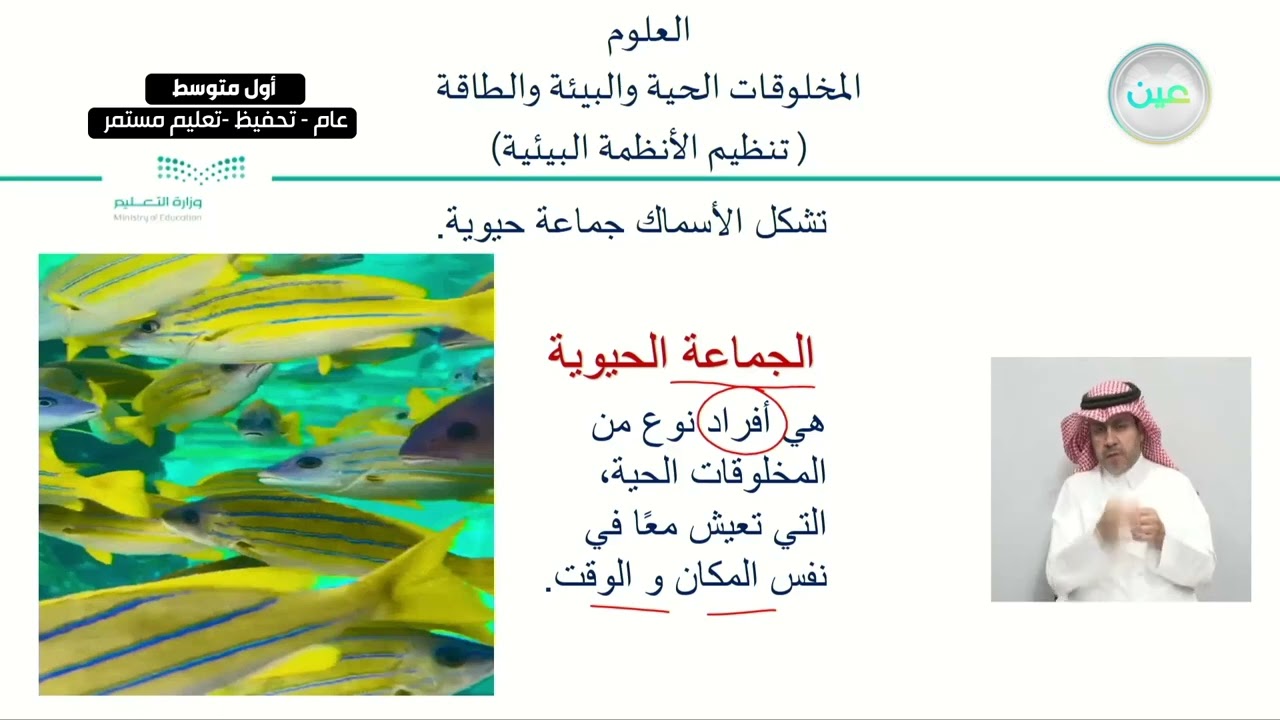 المخلوقات الحية والبيئة والطاقة ( تنظيم الأنظمة البيئية) - العلوم - أول متوسط