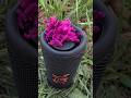 Tip tip barsa pani JBL Bass test