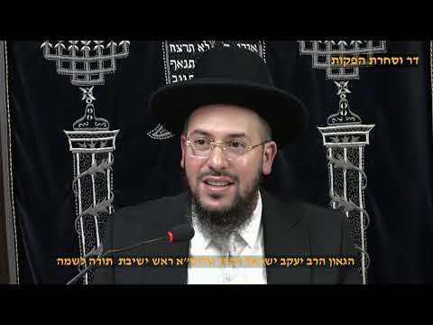 לצאת מהקושי והכבדות פרשת בא תשפ"ו  הגאון הרב יעקב ישראל הכהן שליט"א ראש מוסדות ישמח ישראל