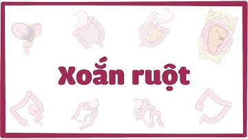 Xoắn ruột