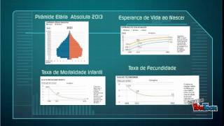 Estrutura e Distribuição da População Brasileira