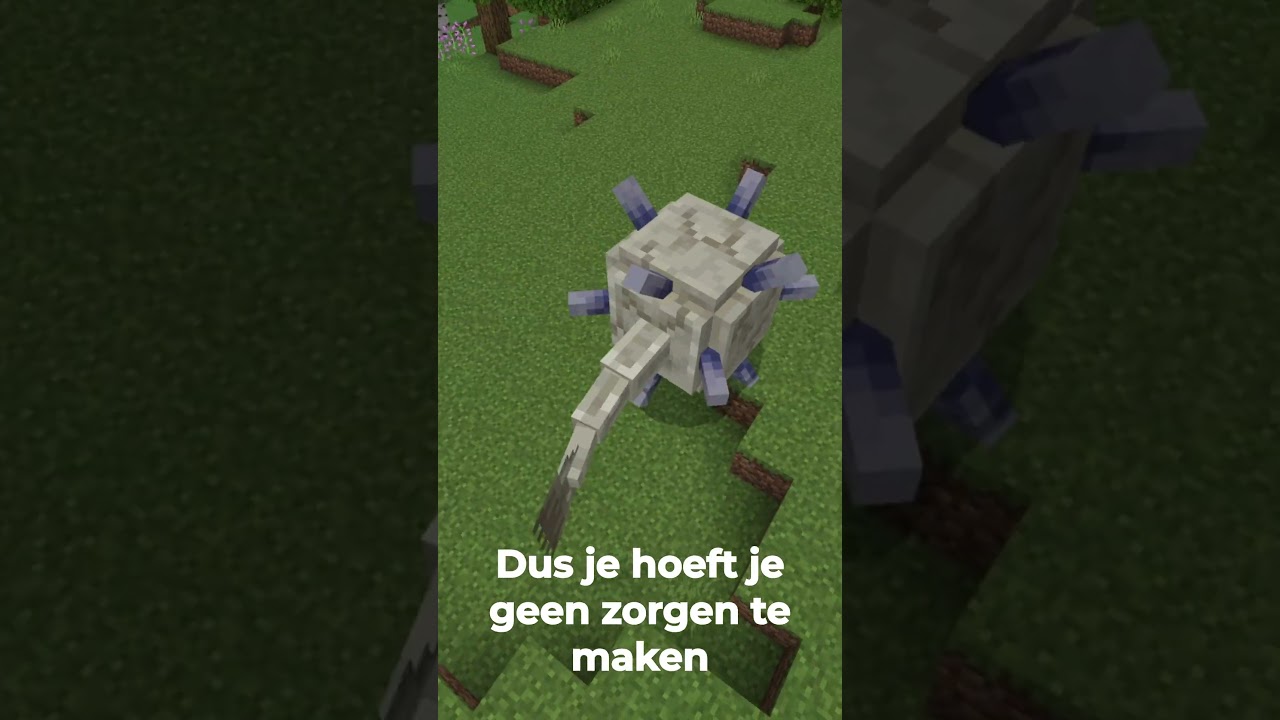 De beste manier om je vrienden te pranken in minecraft🤣