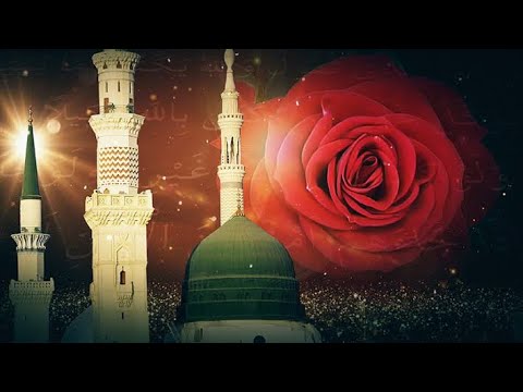 Ravza ilahisi/ 🌹Dün Gece Ravzaya Vardım🌹- Zikirli İlahi | Muhammed Ezgen