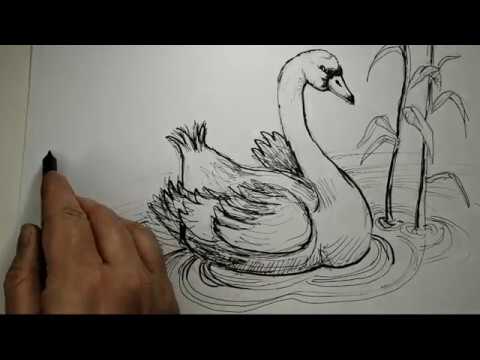 Video: Come Disegnare Un Lago