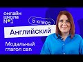 Can. Урок 17. Английский язык 5 класс