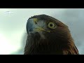 Naturpark Fanes, Sennes, Prags - ein Film von Hubert Schönegger, geosfilm