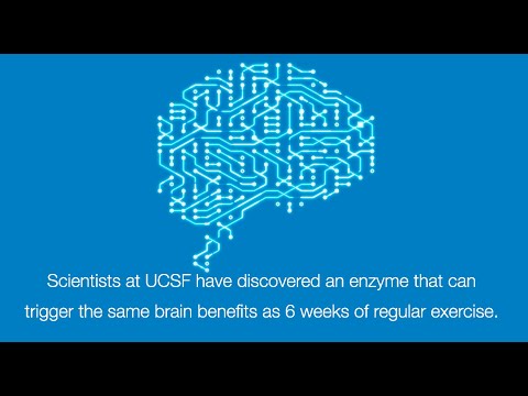 Can a pill provide the same cognitive benefits as exercise?