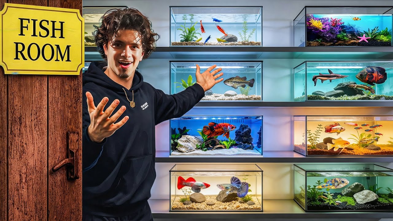 I FINALLY Revealed My Fish Room…