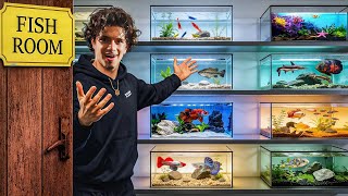 I FINALLY Revealed My Fish Room…