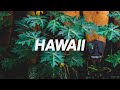 HAWAII - Afrobeat Type Beat (Afrobeats Instrumental)