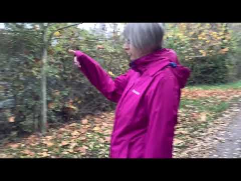 Walking back from Gloucester Airport along the Bridleway