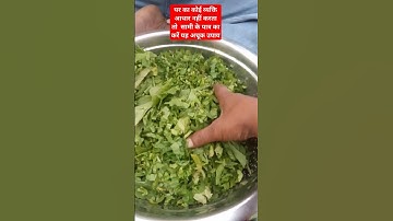 घर का कोई व्यक्ति आपका आधार नहीं करता तो शमी के पट्टी से करें ये अचूक उपाय#pradeepmishranayeupay #gk