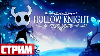 Попробовать не хочешь? - Hollow Knight