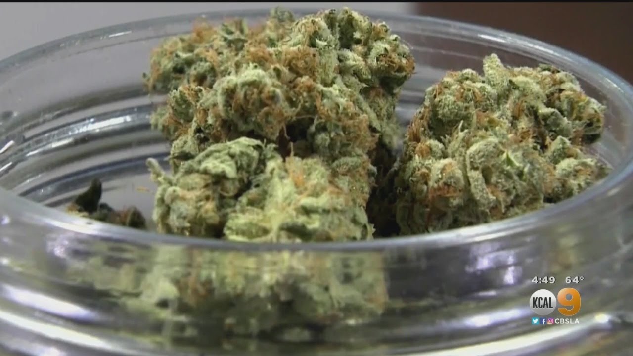 Panel Of Scientists Says Using Cannabis During Pregnancy Poses Risk panel-of-scientists-says-using-cannabis-during-pregnancy-poses-risk
