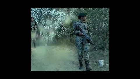 Cobra command tarning video 2022